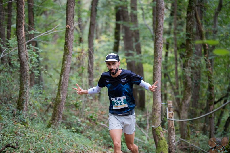 Dans les bois